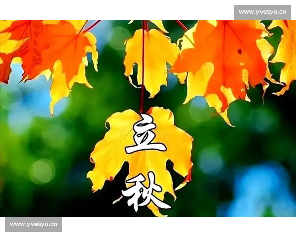 立秋时节的气候变化与传统习俗探析：从饮食到节令活动的全方位解读